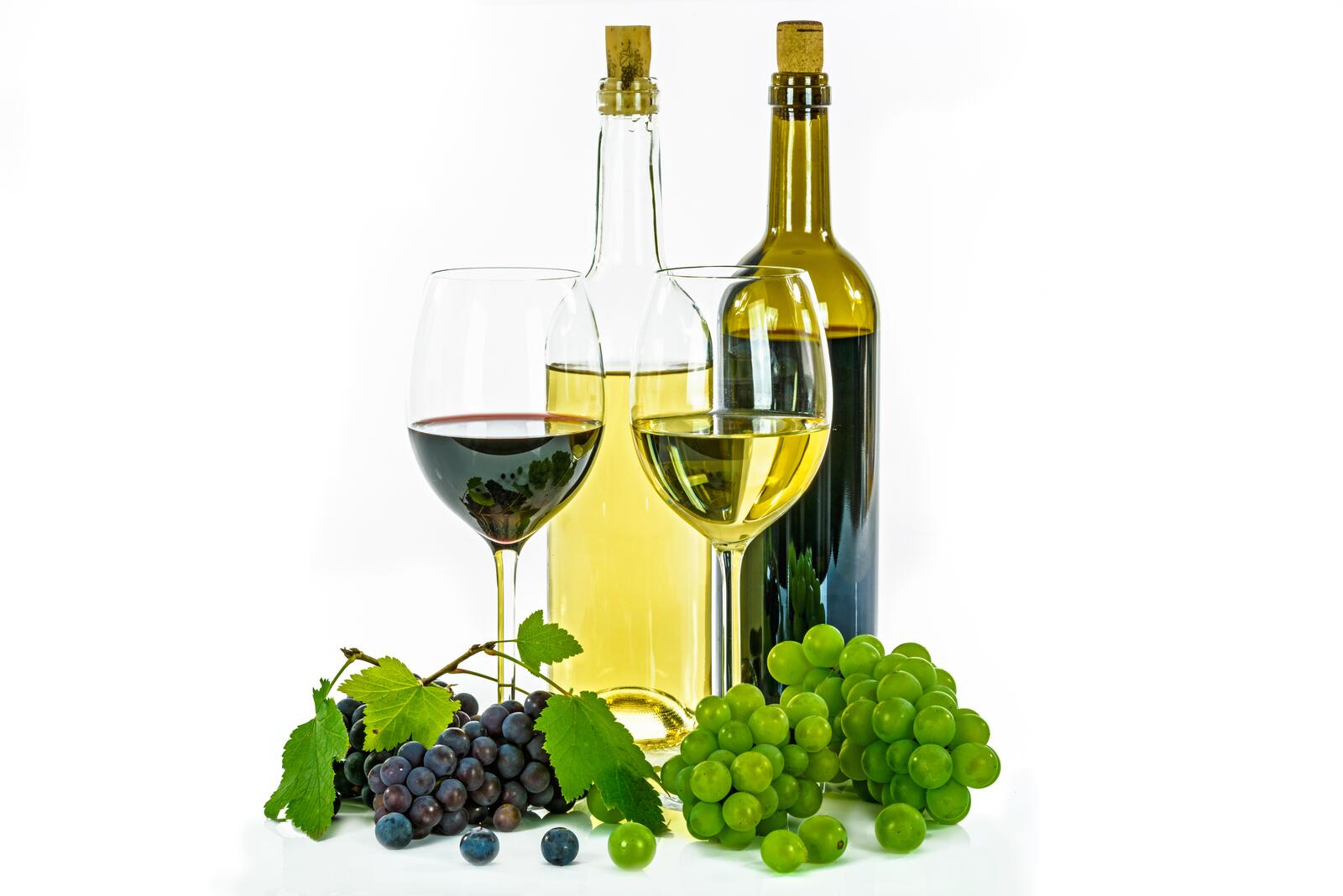 Обои жидкость виноград виноградник на рабочий стол