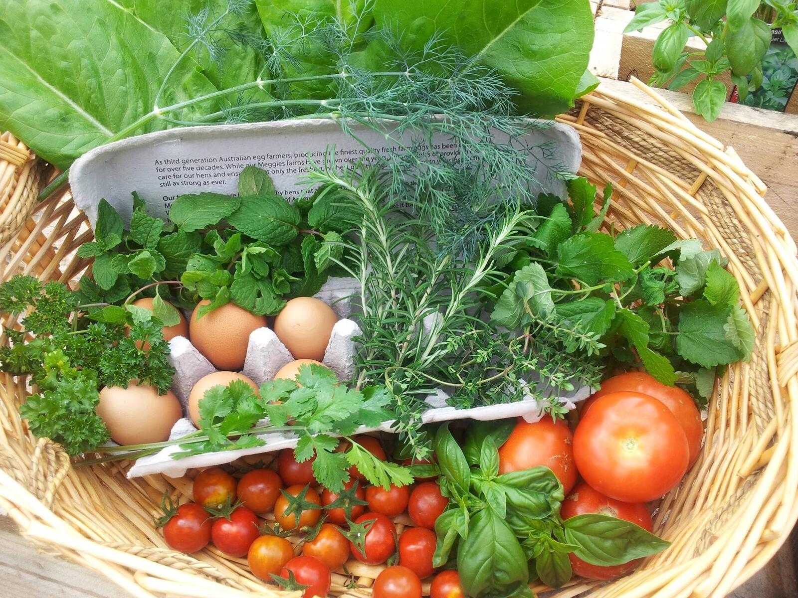 Бесплатное фото Яйца с овощами в корзинке