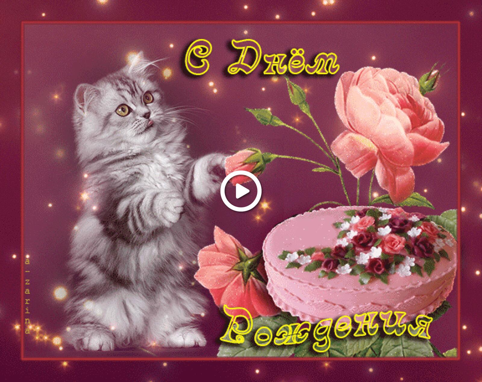 Бесплатная открытка Открытка на день рождения с котенком