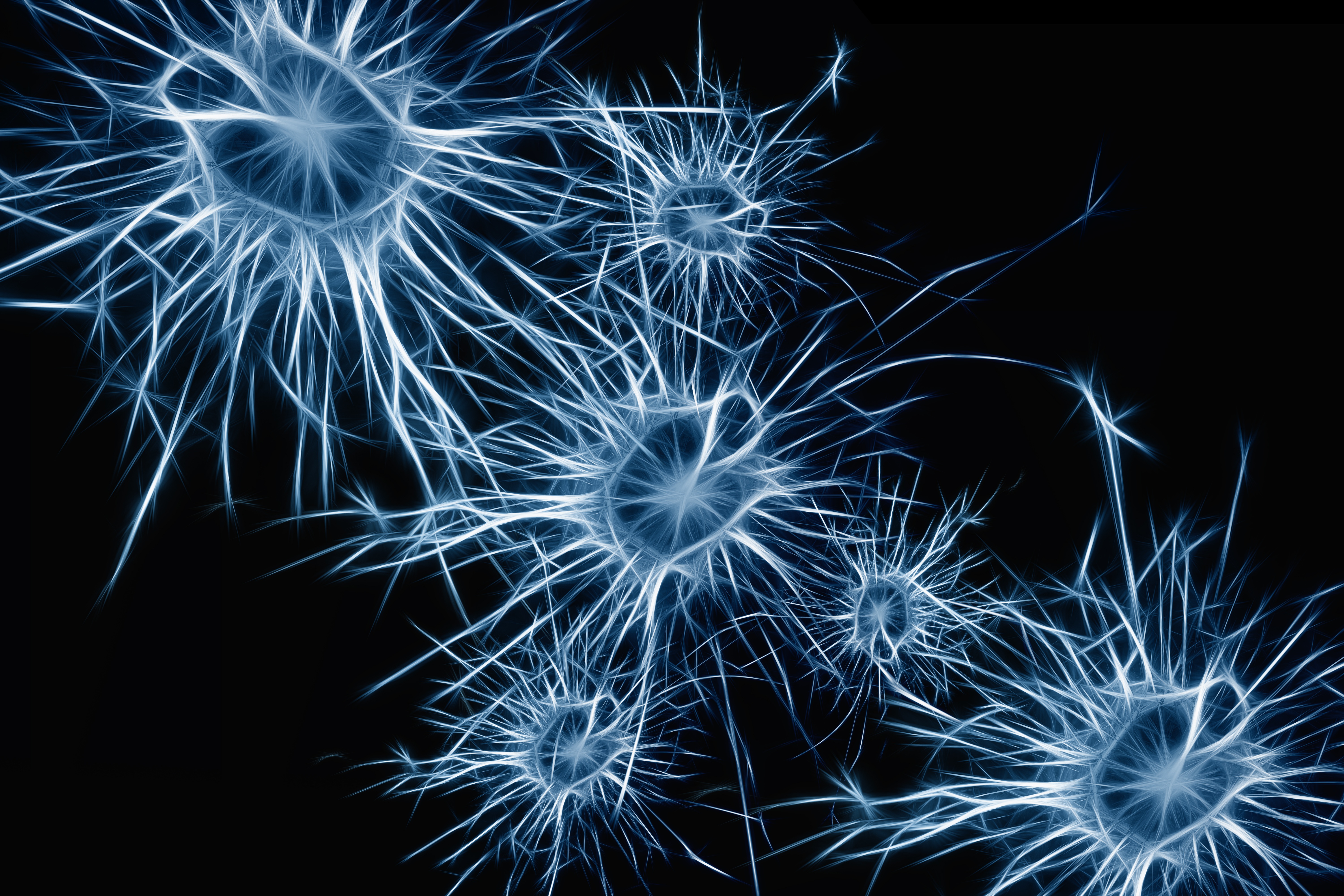 Wallpapers illustration sparkler neurons on the desktop