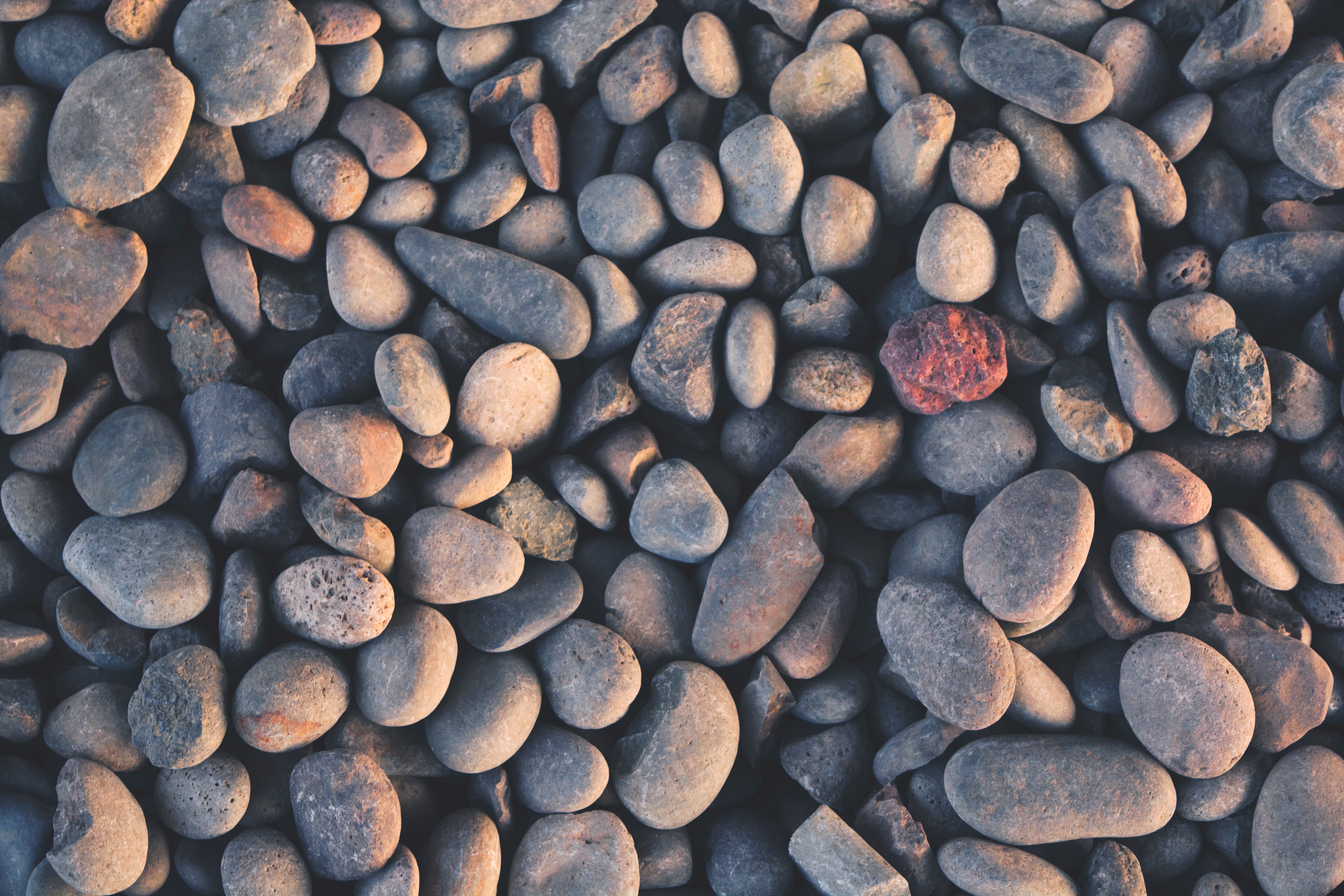 Бесплатное фото Гладкие морские камни