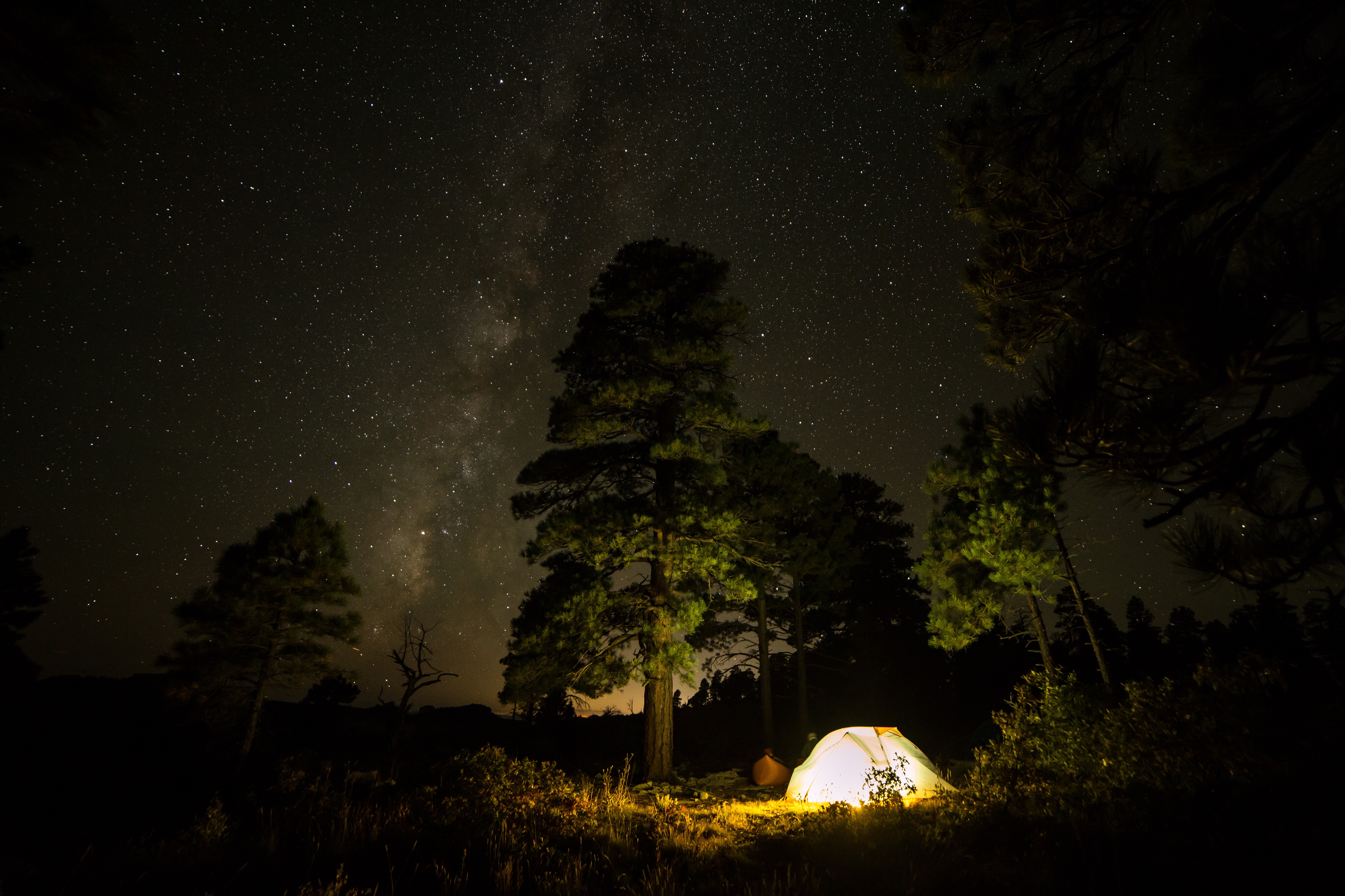 夜晚森林中的发光帐篷