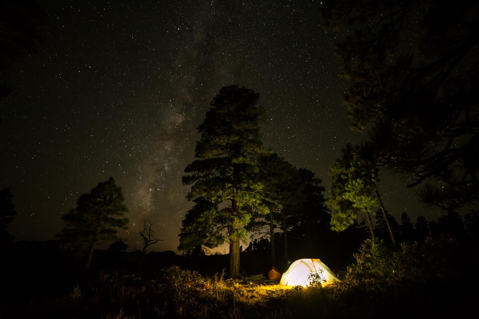 Бесплатное фото Светящаяся палатка среди ночного леса