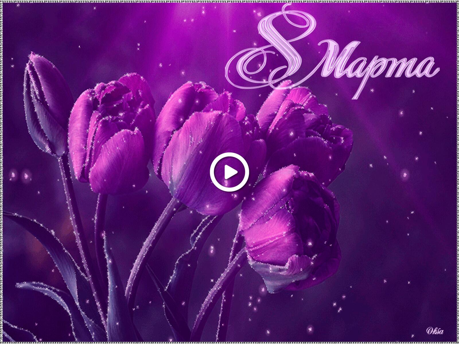 Free postcard Purple tulips for March 8th.