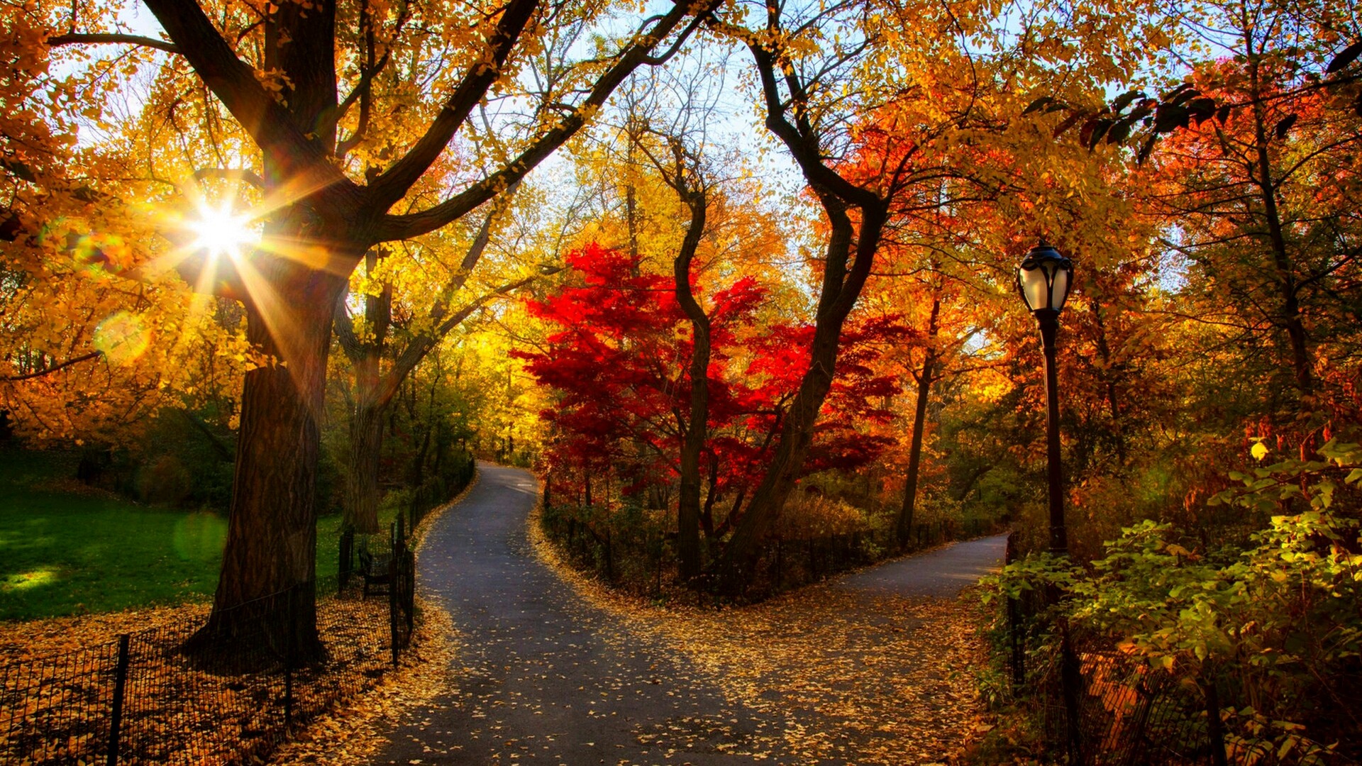 漫步秋色中的公园