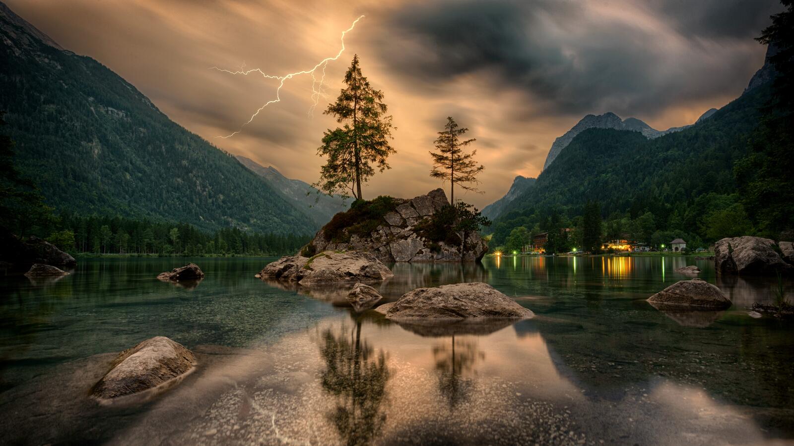 免费照片树木生长在湖底的岩石上
