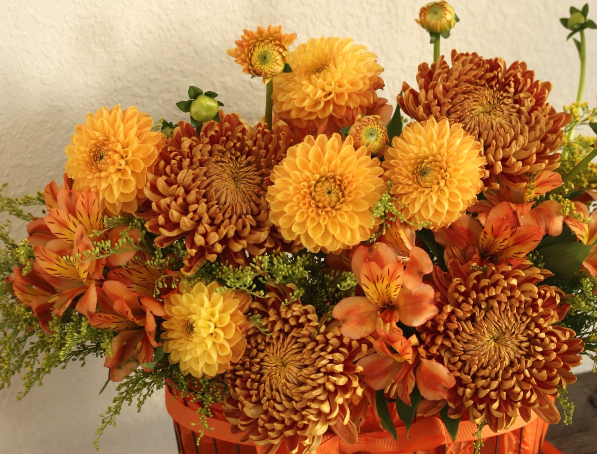 Free photo Bouquet of chrysanthemums