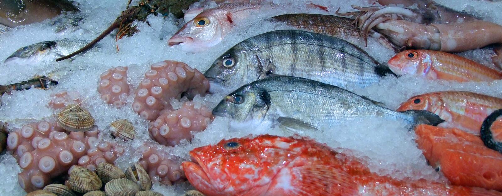 Бесплатное фото Морская рыба замороженная в гранулах соли