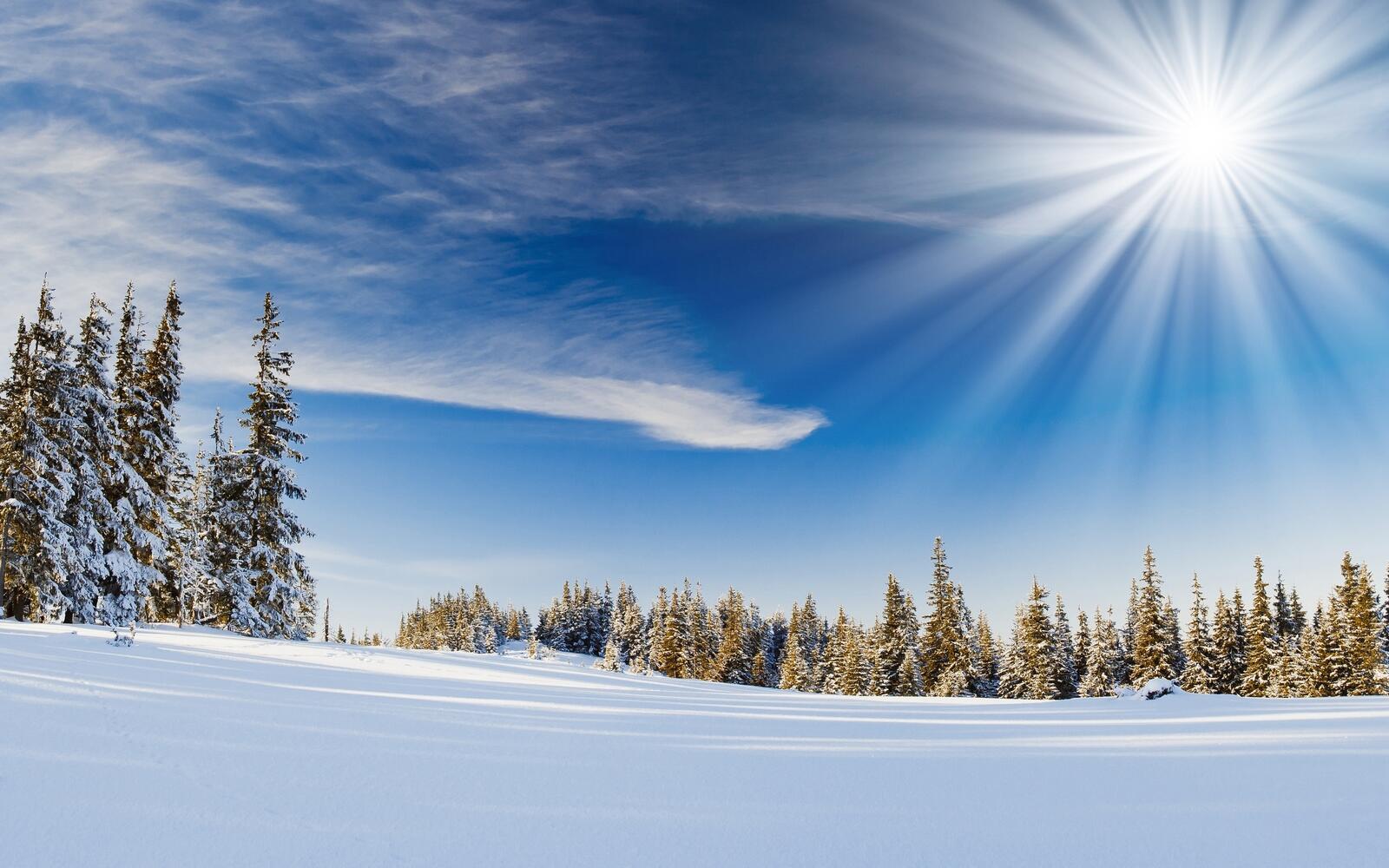 Бесплатное фото Снежное поле солнечным днем
