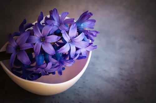 Blue flowers in a deep bowl.