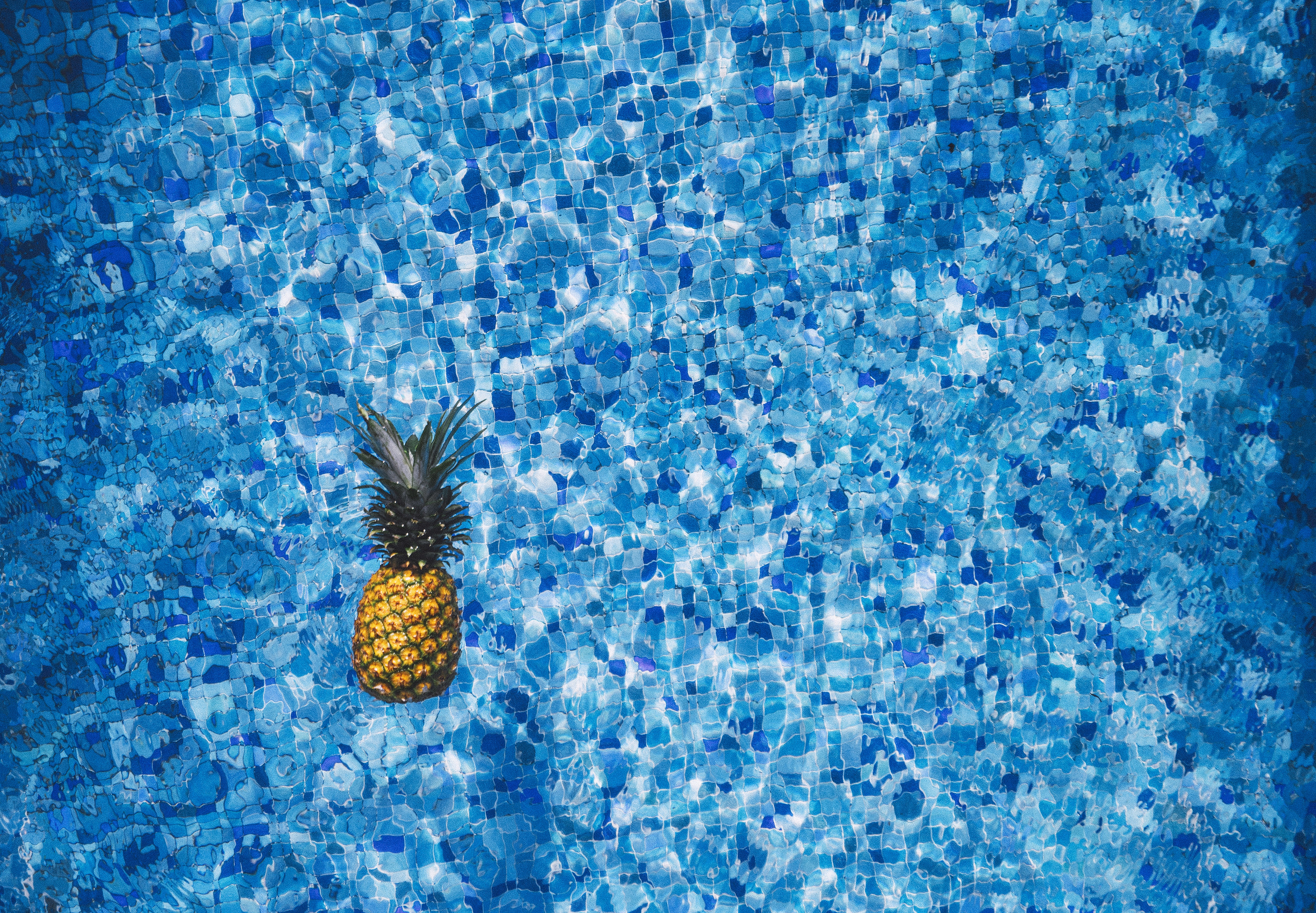 泳池里的菠萝