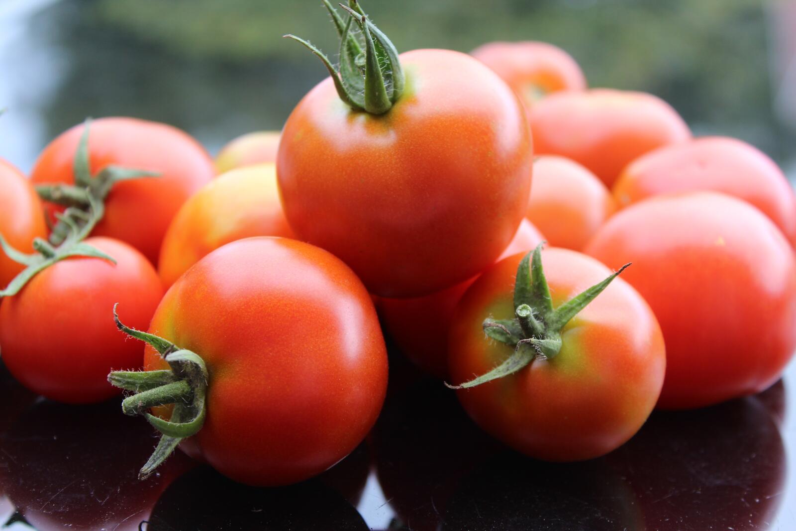 Бесплатное фото Красные помидорки с огорода
