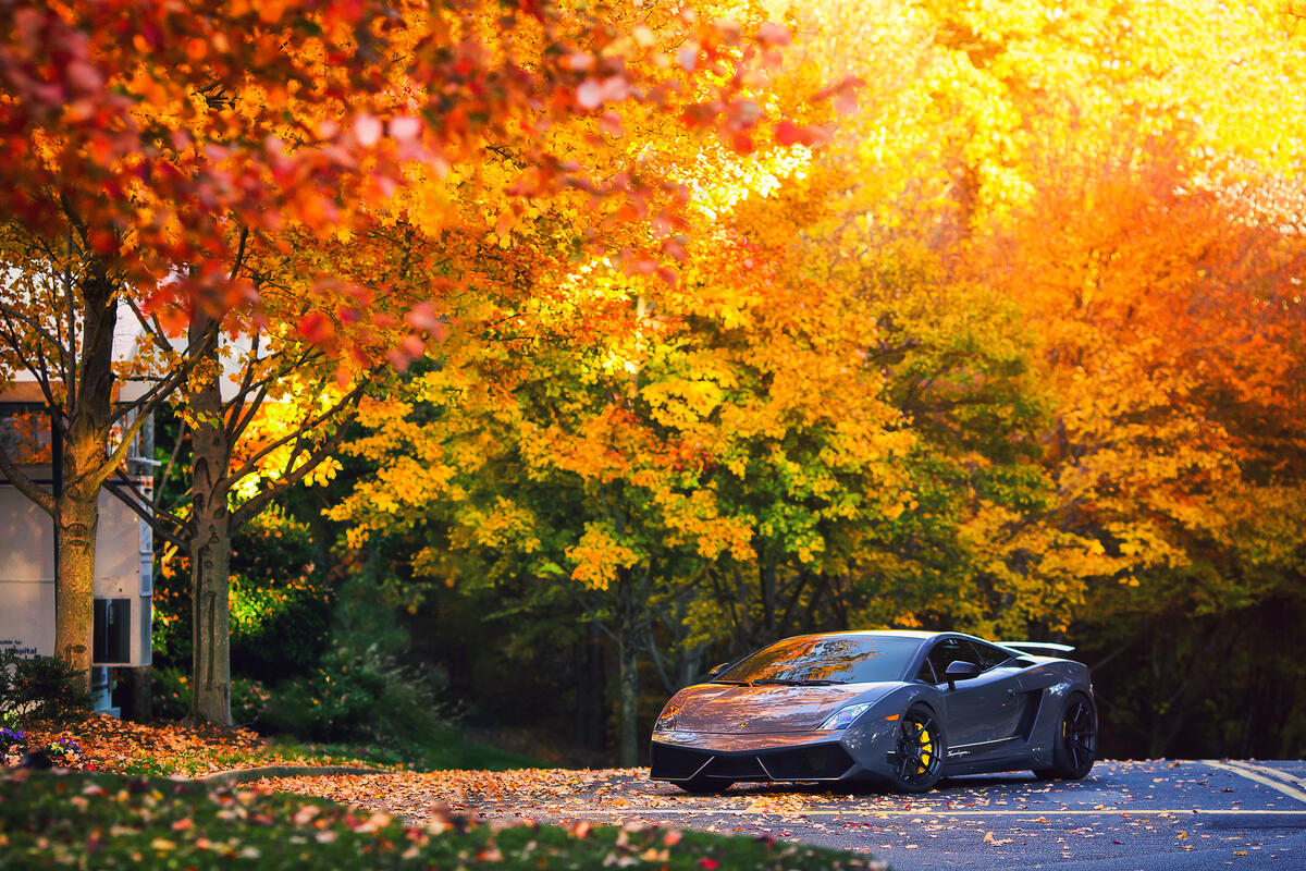 Picture with Lamborghini Gallardo on the background of autumn leaves