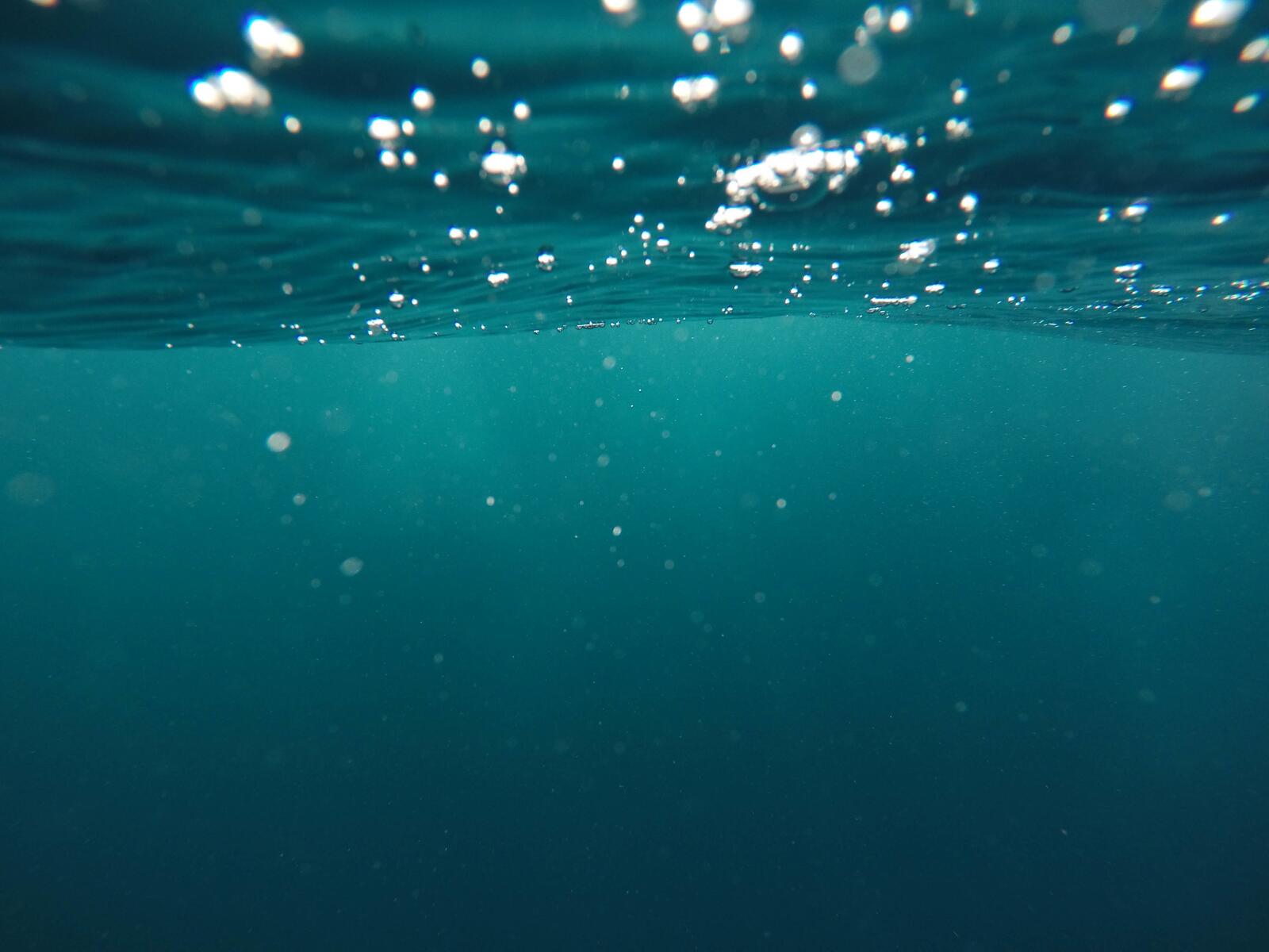 Бесплатное фото На глубине моря