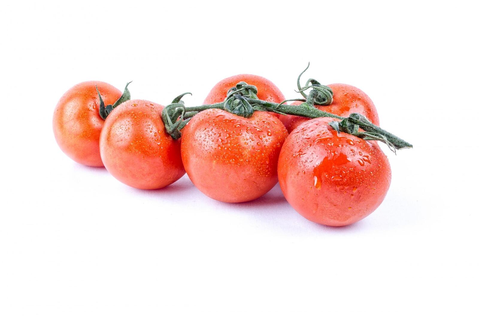 Free photo Tomatoes on a white background