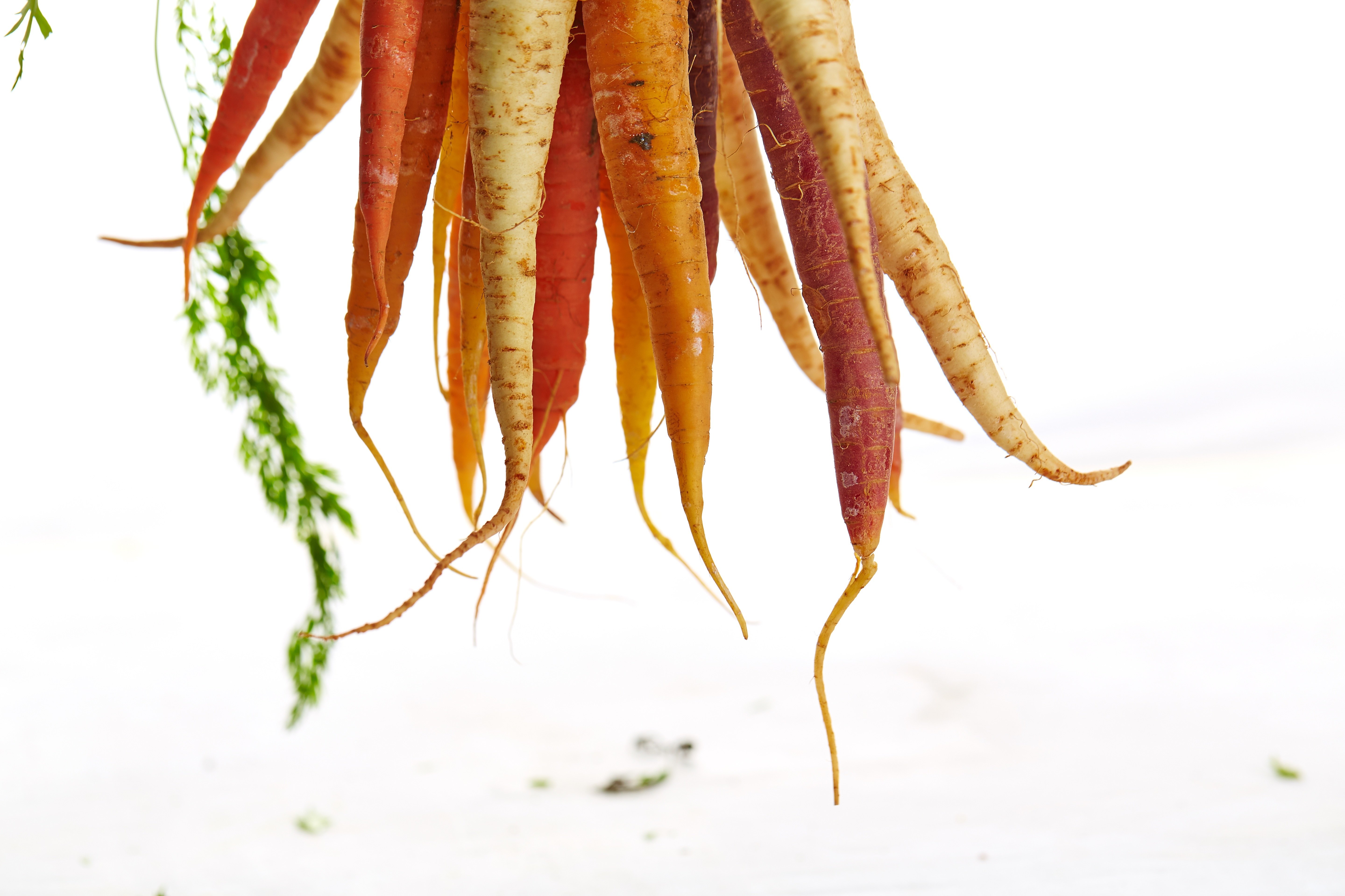 Бесплатное фото Морковка на белом фоне