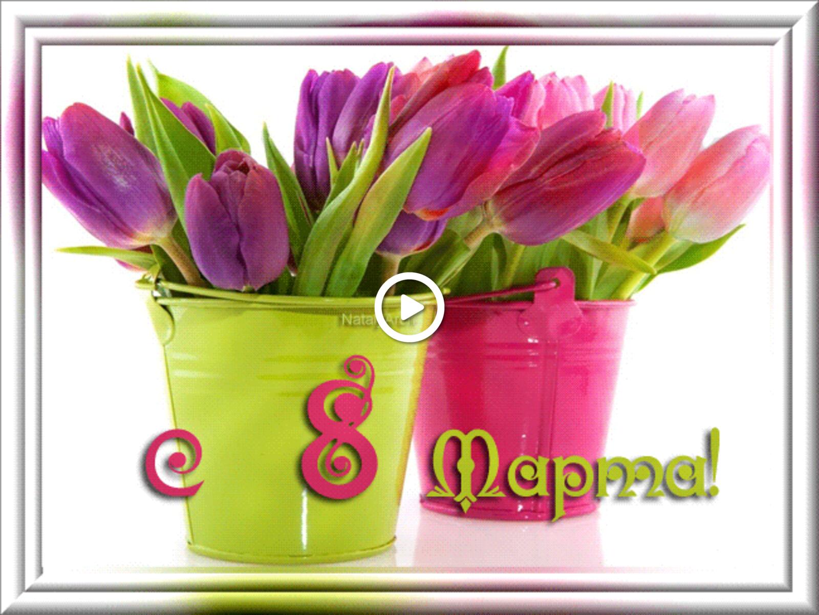 Free postcard Two buckets of tulips for you on March 8th.