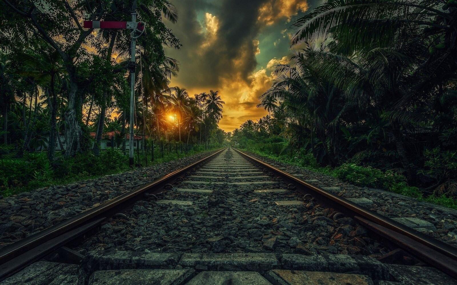 Бесплатное фото Железная дорога уходящая в закат