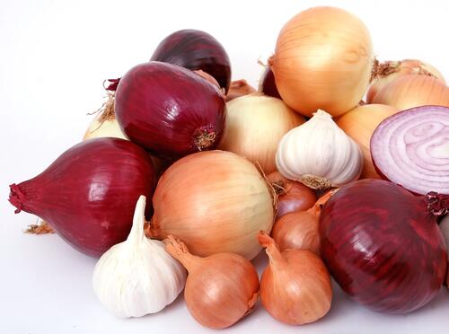 Different varieties of onions on a white background