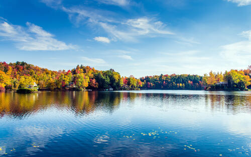 Осенние деревья на берегу озера в Нью-Йорке