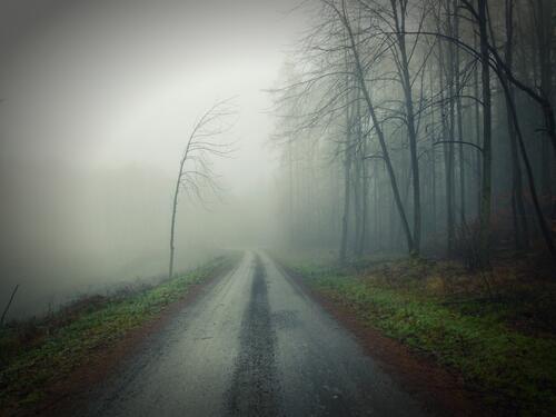 Грунтовая дорога в густом тумане