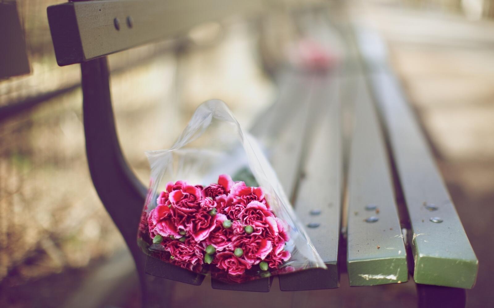 Wallpapers park wallpaper bouquet on bench pink carnations on the desktop