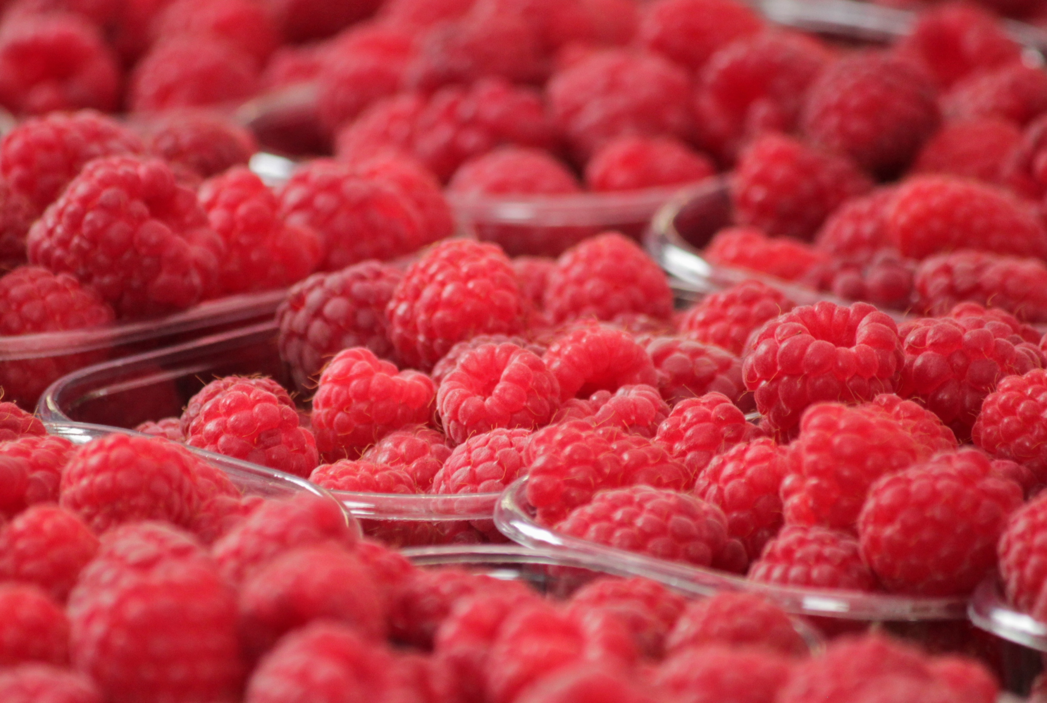 Free photo Fresh raspberries