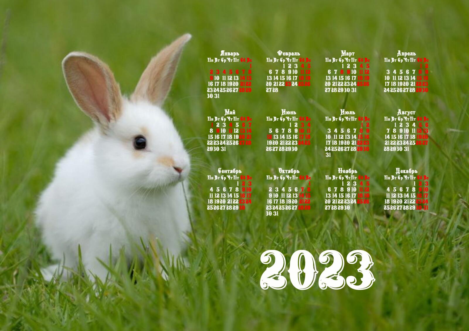 Бесплатное фото Календарь 2023