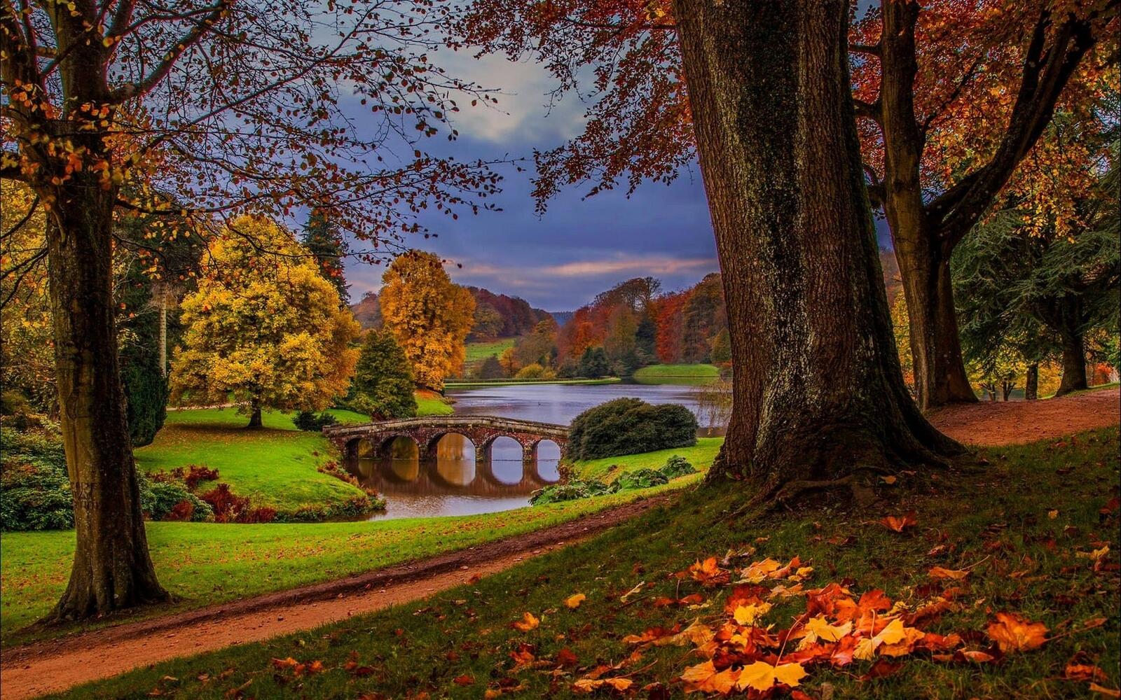 Бесплатное фото Полянка осенью у реки