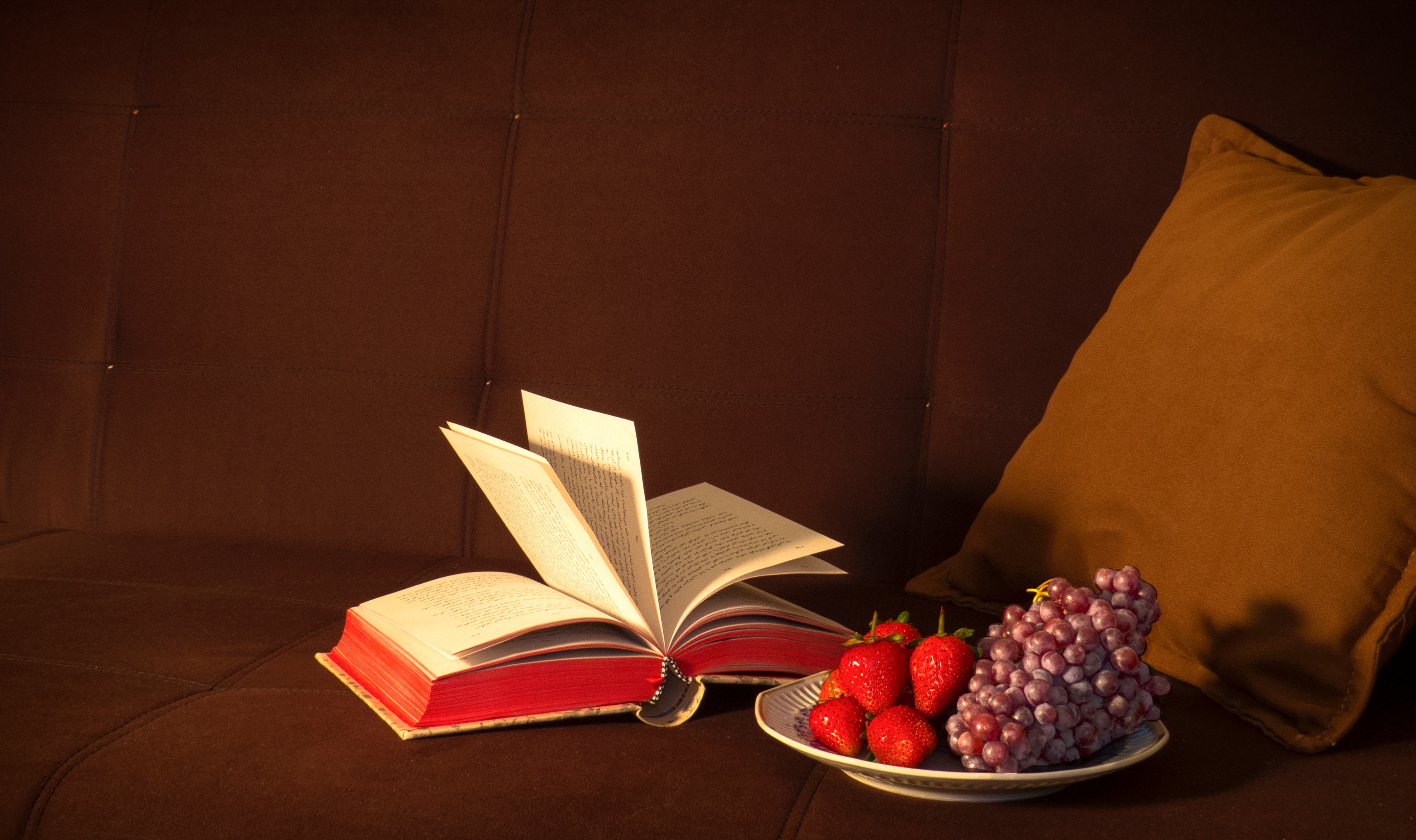Открытая книга с тарелкой свежих ягод