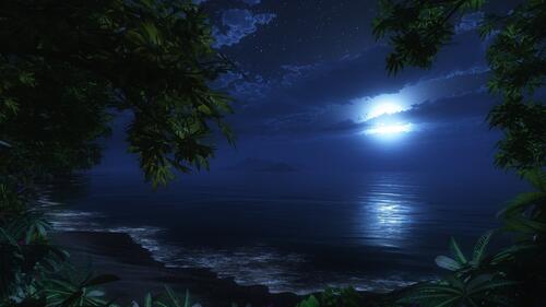 Необычная красивая лунная ночь на острове