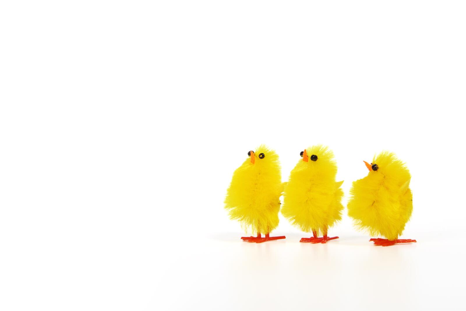 Бесплатное фото Игрушечные желтые цыплята