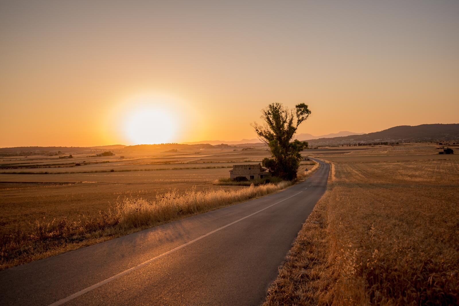 Бесплатное фото Дорога вдоль поля на закате