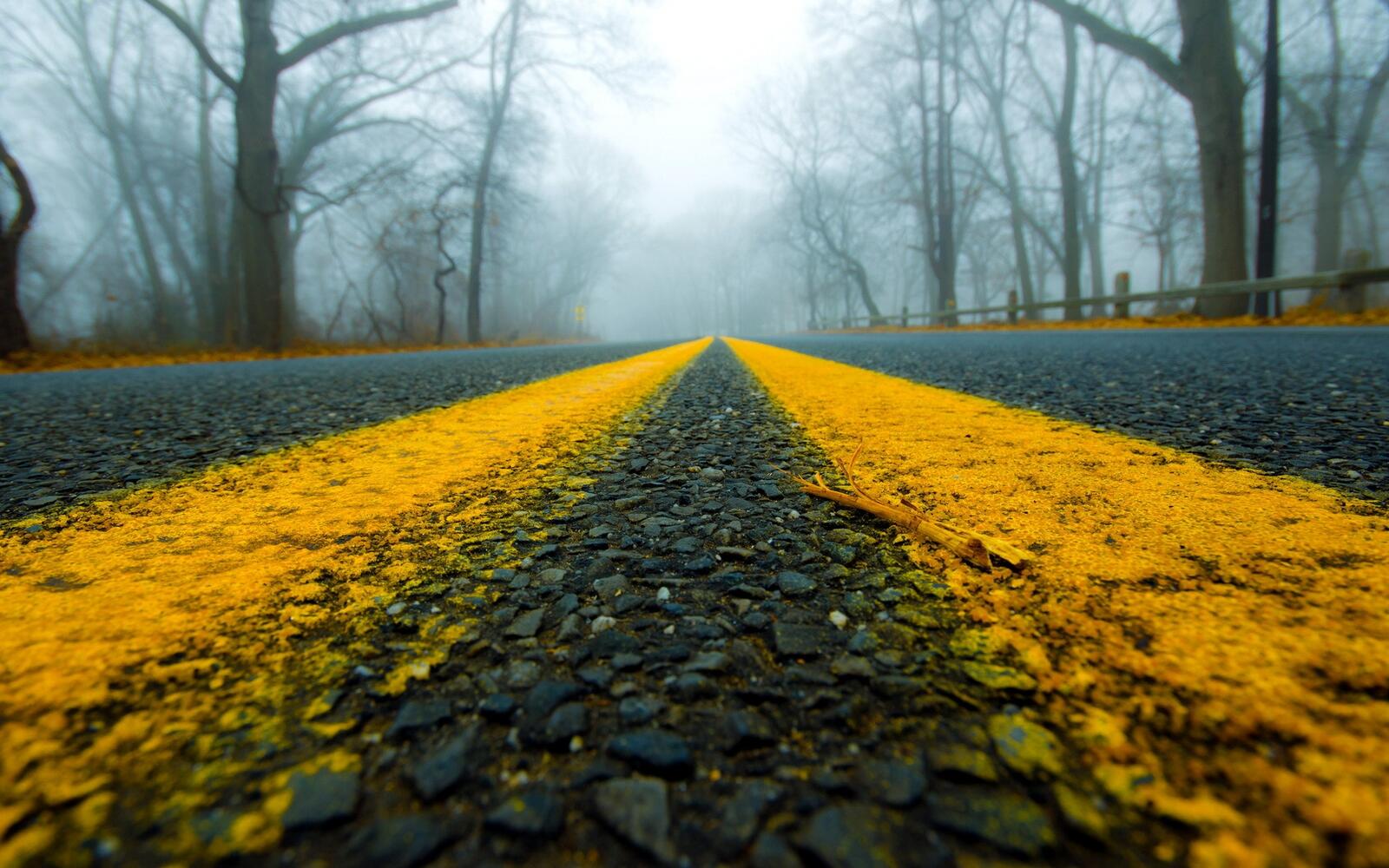 Бесплатное фото Желтые полосы на асфальтированной дороге