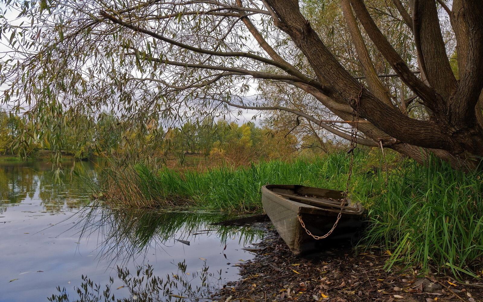 Free photo An old wooden boat on the riverbank