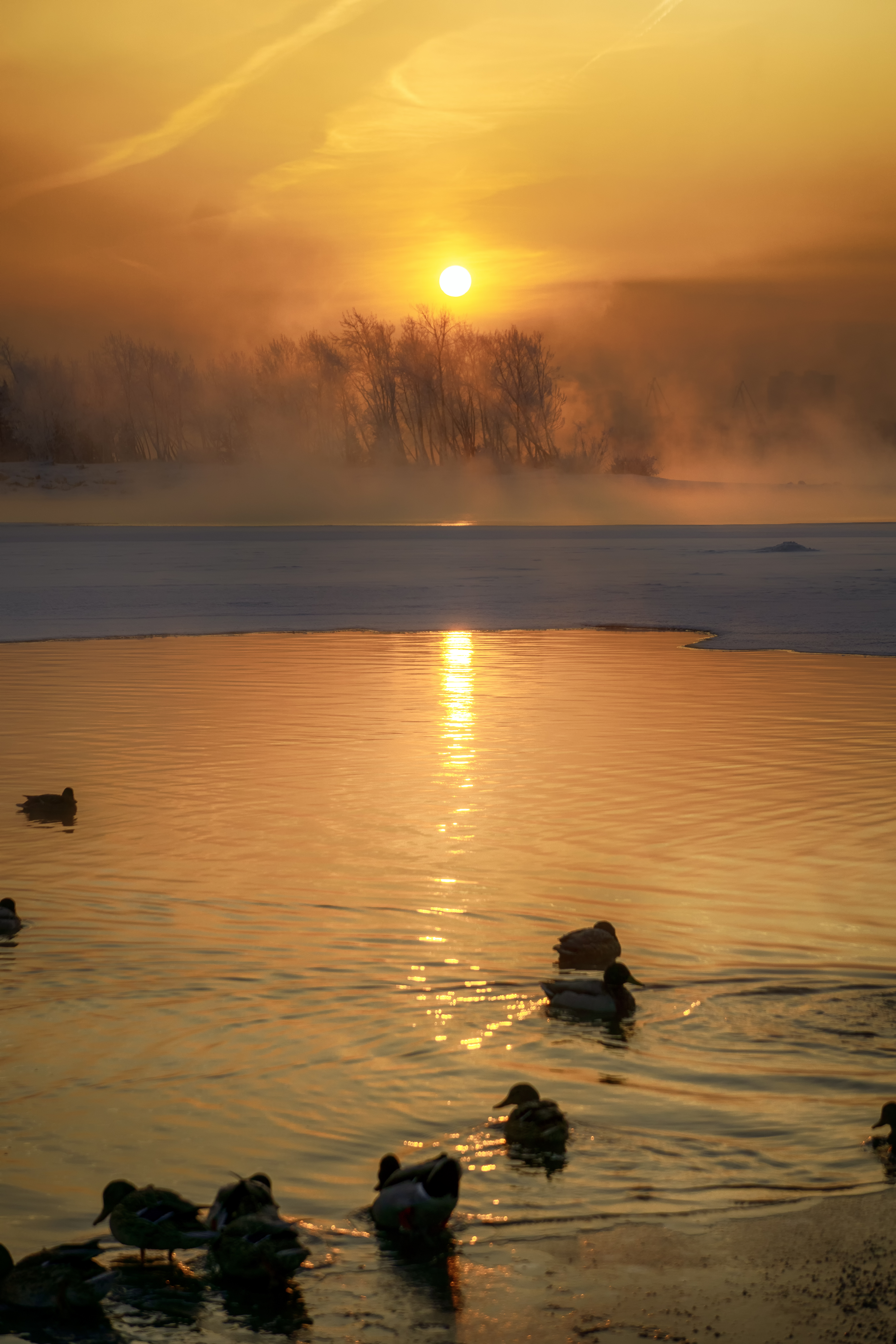 免费照片克拉斯诺亚尔斯克市中心叶尼塞河上的金色黎明