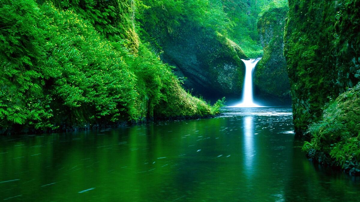 A waterfall amidst the Valdivian rainforest.