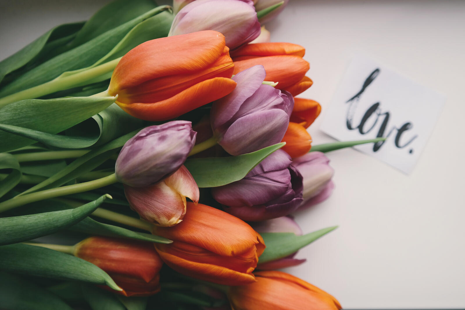 Бесплатное фото Букет тюльпанов лежит на столе с запиской любовь