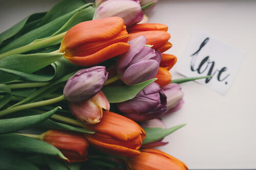 A bouquet of tulips lies on the table with a note of love
