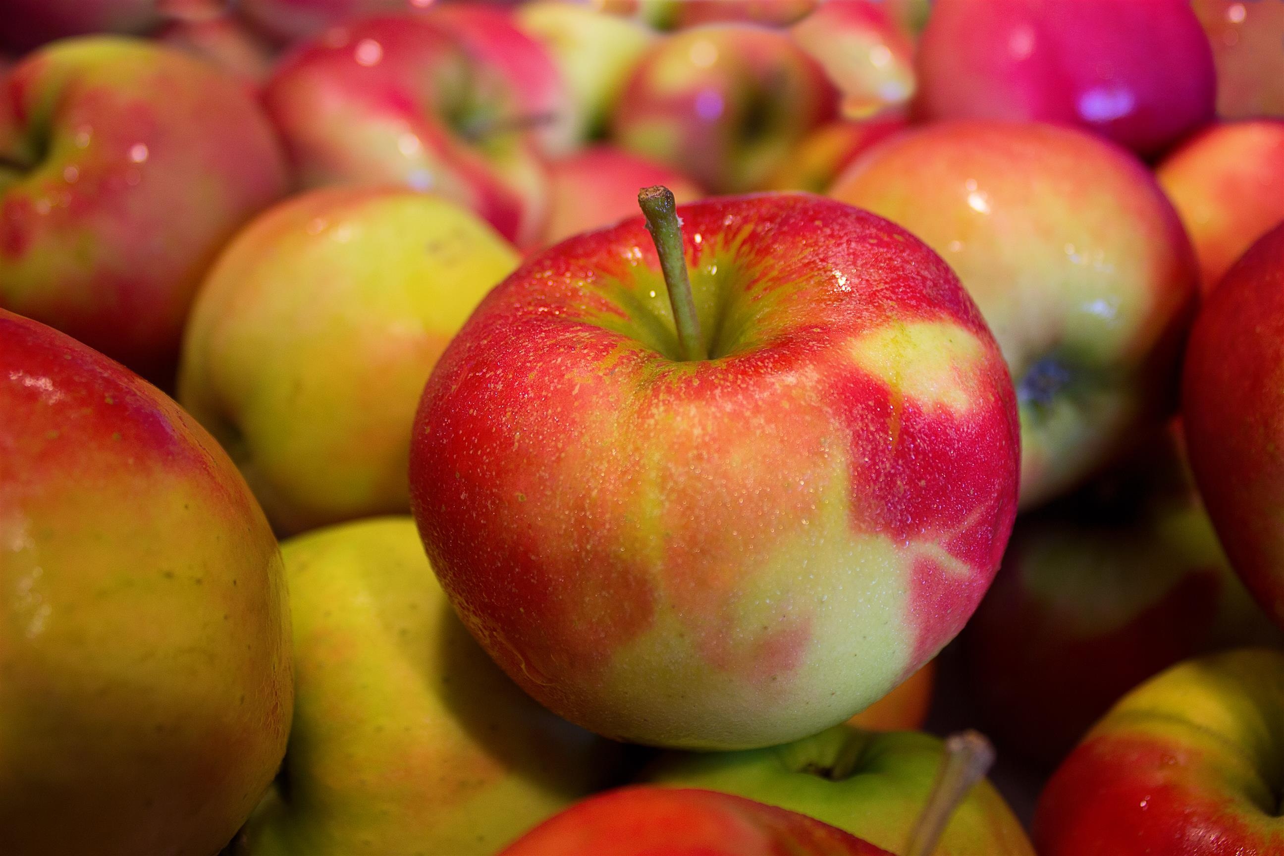 Бесплатное фото Спелые румяные яблоки