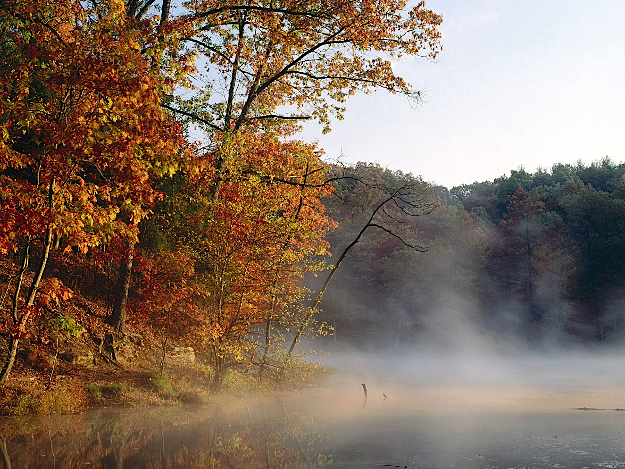 Fog over a lake in the midst of an autumn forest