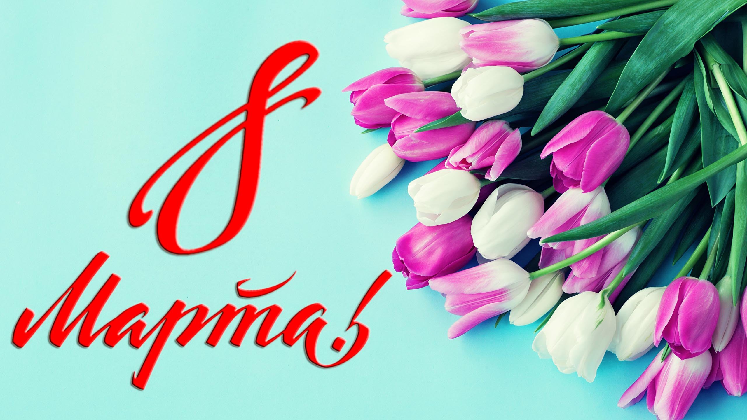 Бесплатная открытка Розовые и белые тюльпаны на 8 марта