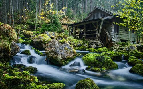 A watermill in an ancient forest.