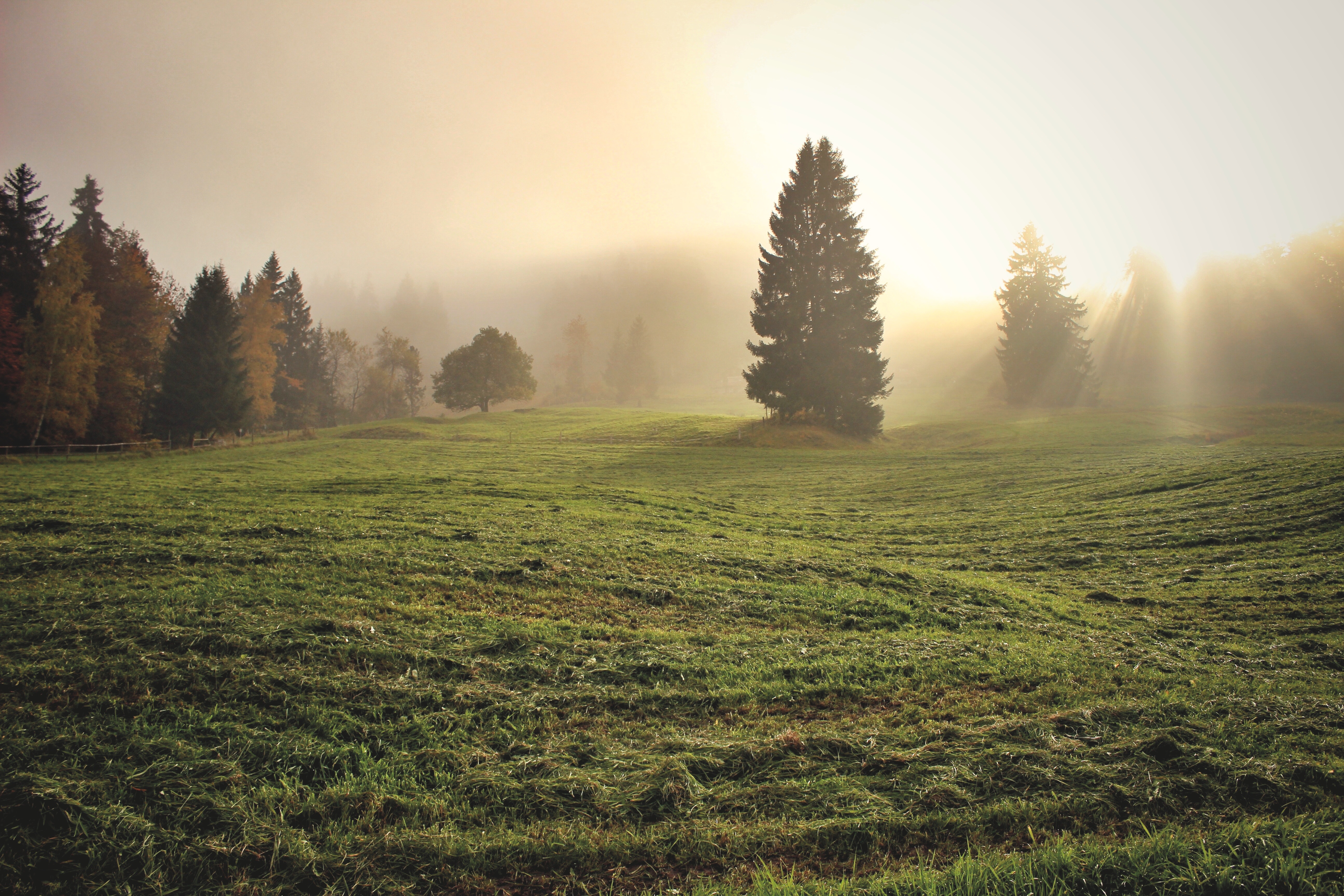 A large green field with morning fog