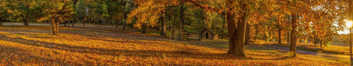 Panorama with an autumn cottage in the woods