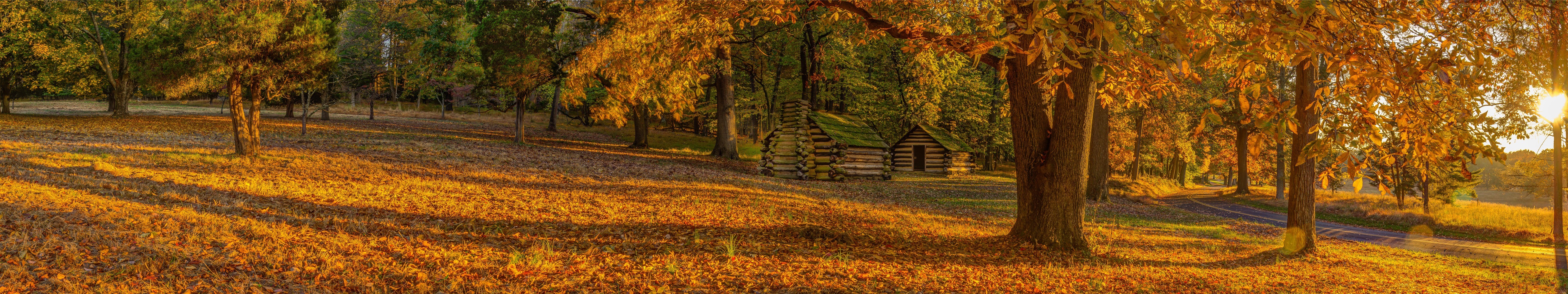 免费照片森林中的秋日小屋全景