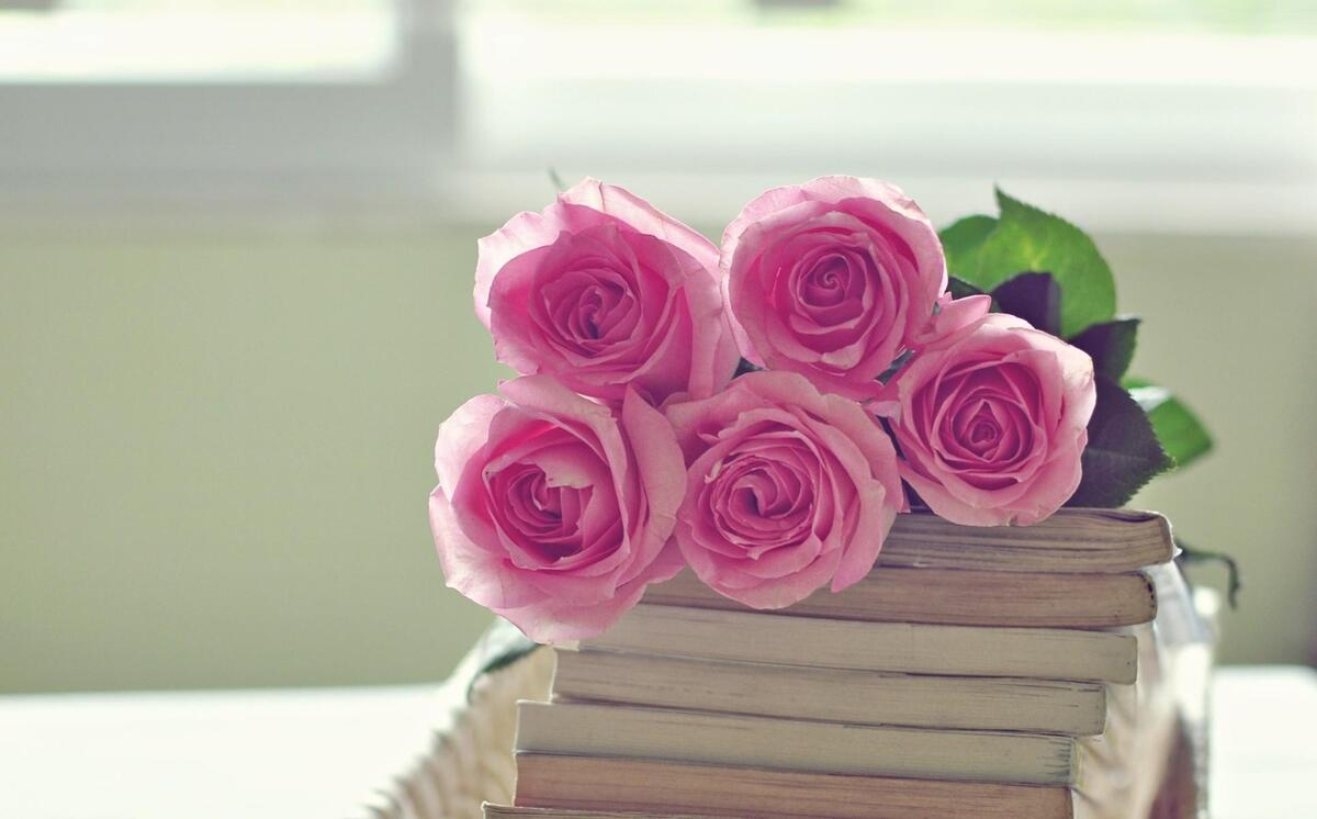 Розовые розы лежать на стопке книг