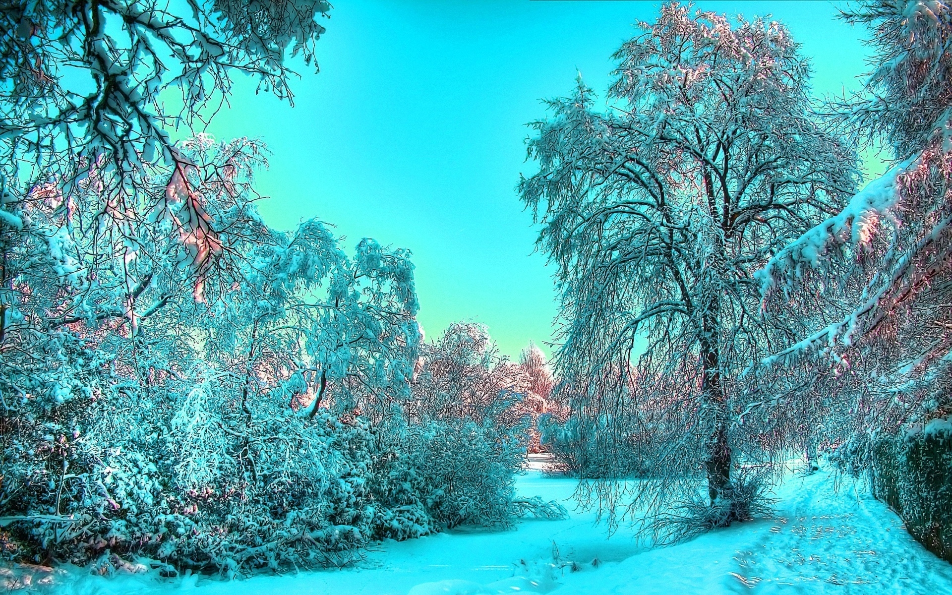 Зимние красоты
