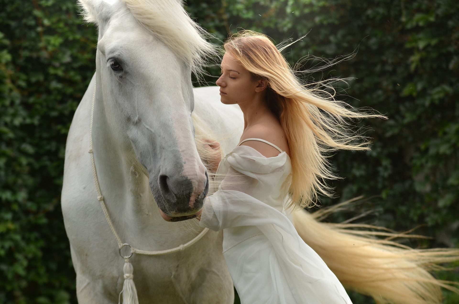 Обои конь девушка белое платье на рабочий стол