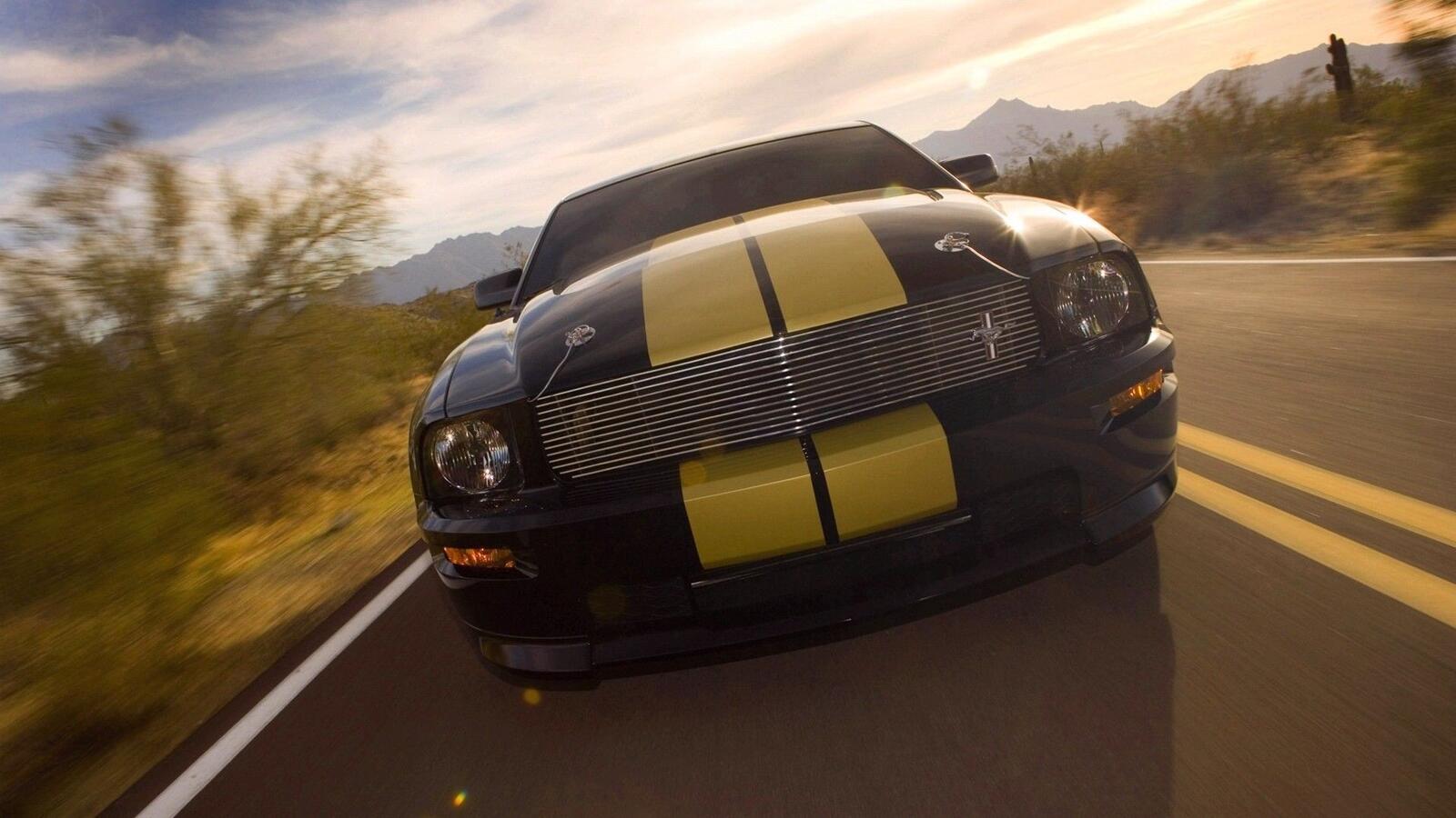 Free photo Shelby mustang with yellow stripes on the hood